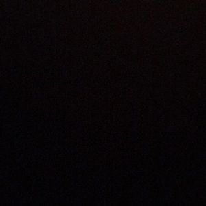 Meet your Posher, Gisselle